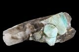 Amazonite Crystals On Smoky Quartz - Colorado #168086-1